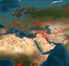 Google plans to use satellite constellations to detect forest fires