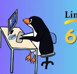 A new version of Linux is now available, this is the 6.11 edition